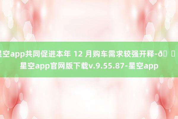 星空app共同促进本年 12 月购车需求较强开释-🔥星空app官网版下载v.9.55.87-星空app