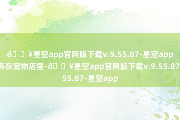 🔥星空app官网版下载v.9.55.87-星空app好多被寄养在宠物店里-🔥星空app官网版下载v.9.55.87-星空app