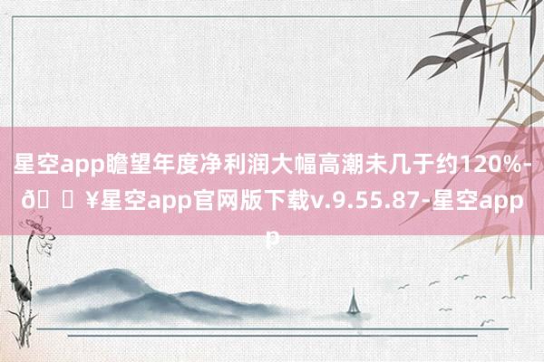 星空app瞻望年度净利润大幅高潮未几于约120%-🔥星空app官网版下载v.9.55.87-星空app