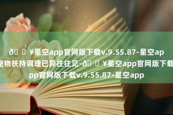 🔥星空app官网版下载v.9.55.87-星空app病院引入调理犬等宠物扶持调理已异往往见-🔥星空app官网版下载v.9.55.87-星空app