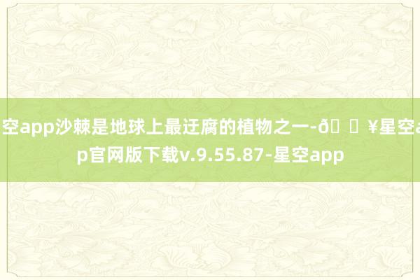 星空app沙棘是地球上最迂腐的植物之一-🔥星空app官网版下载v.9.55.87-星空app
